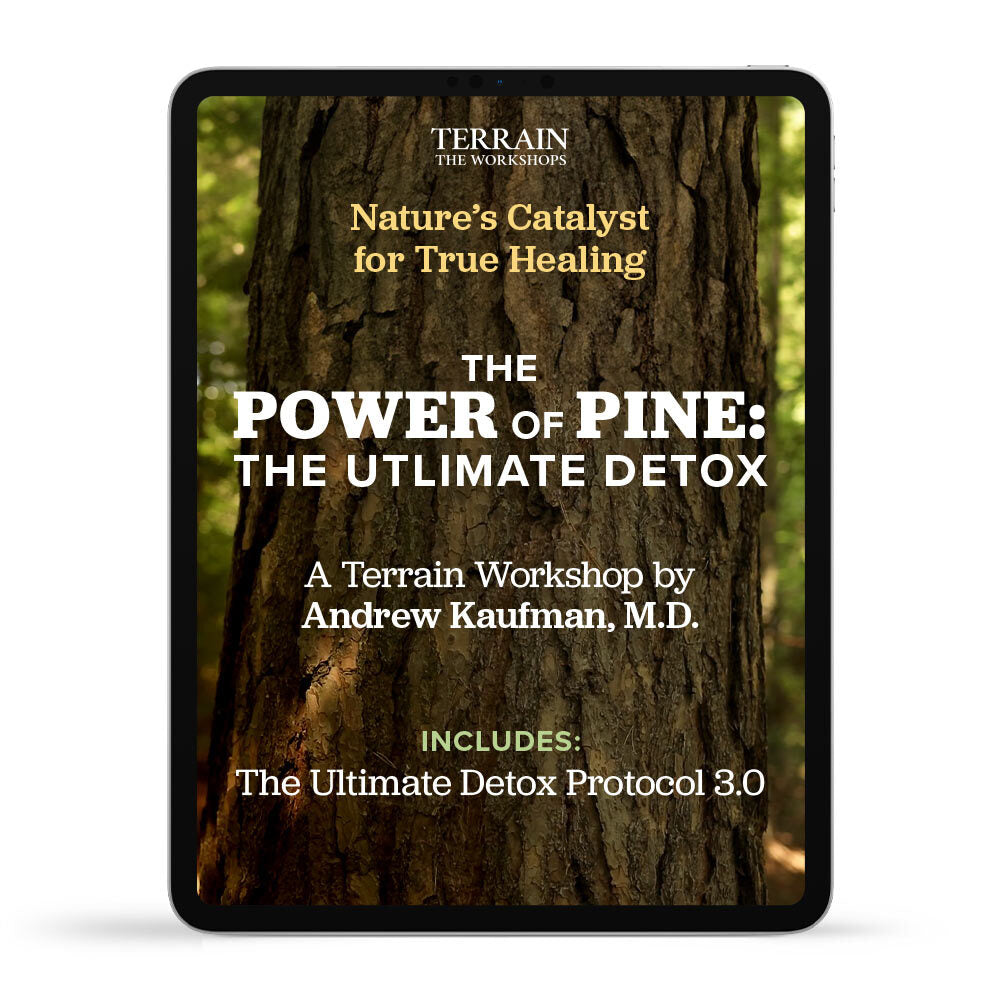 The Power of Pine Workshop by Andrew Kaufman, M.D.