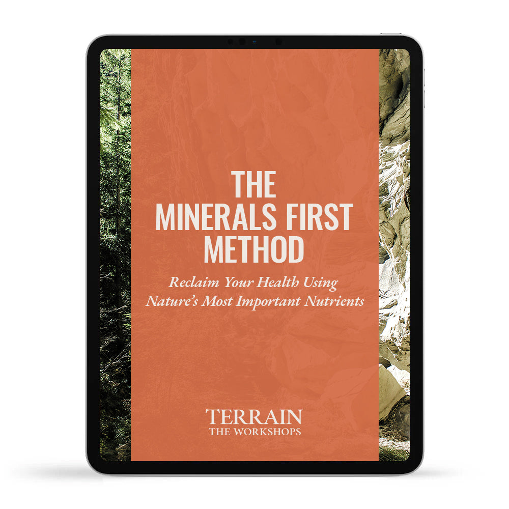 The Minerals First Method by Andrew Kaufman, M.D.